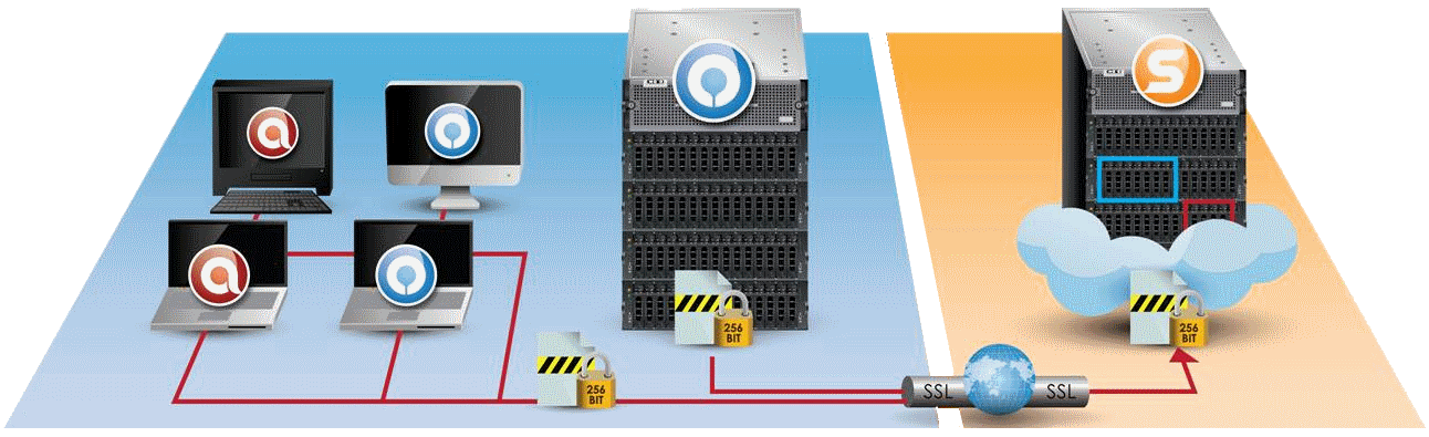 Backup Process
