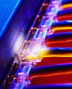 Dallas network support